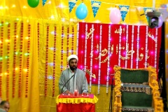 Resident-Allam-PAK-Haidry-Alama-Taqi-Haider